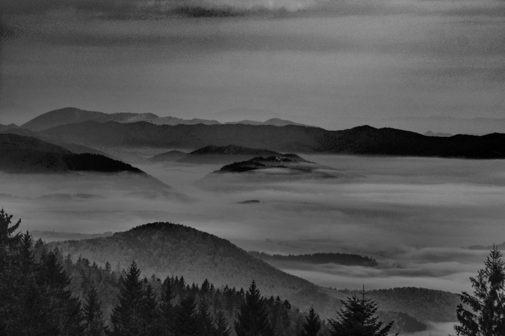 DSC_0688