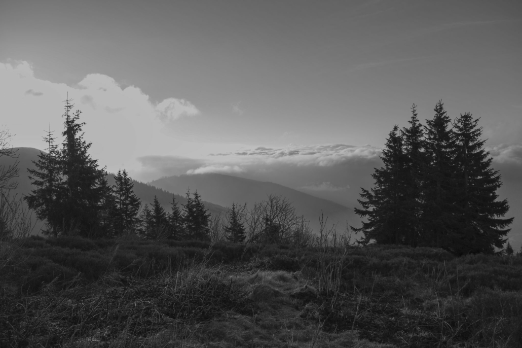 DSC_0856