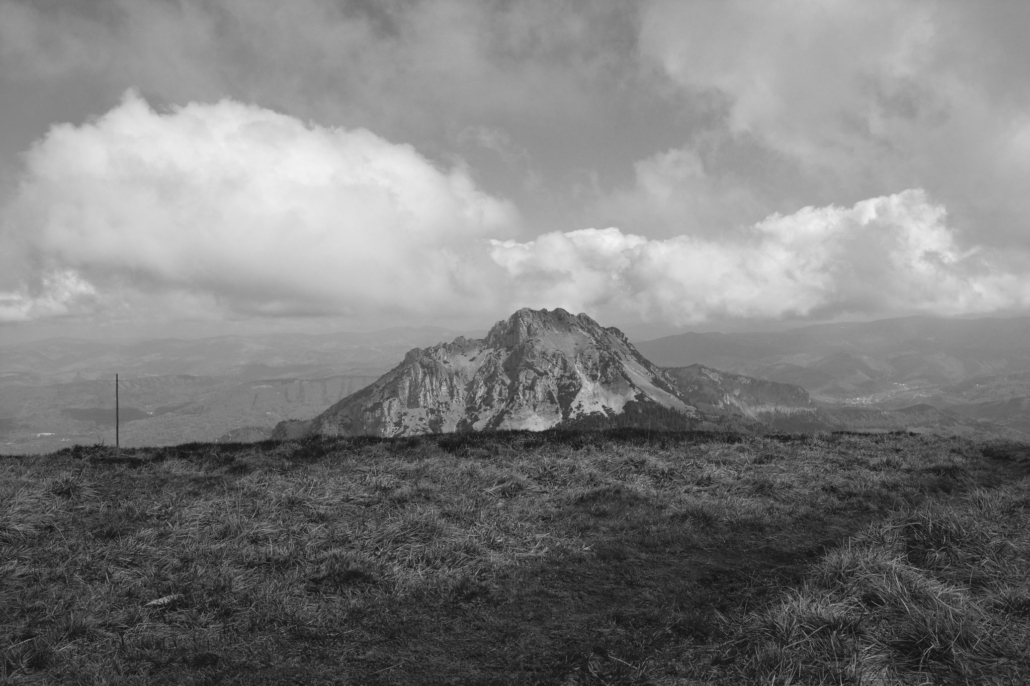 DSC_0918 (1)