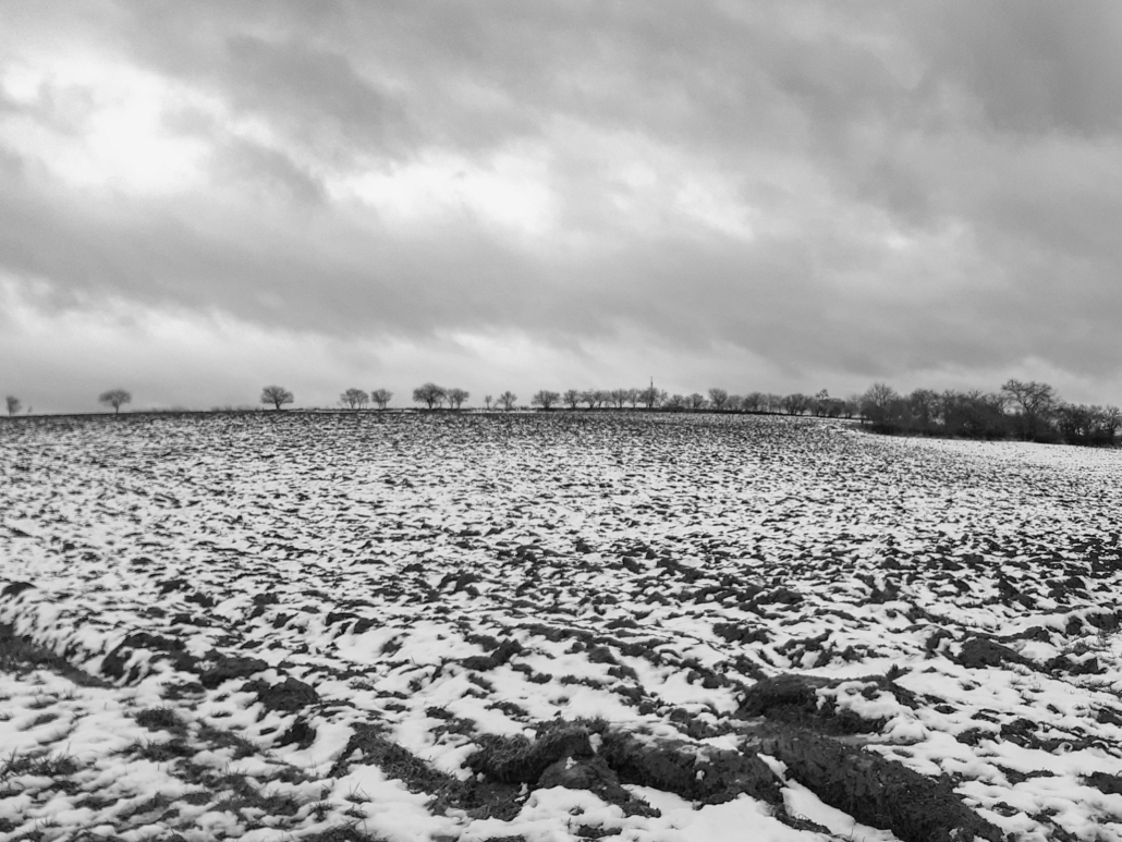 20210123_084828 (1)