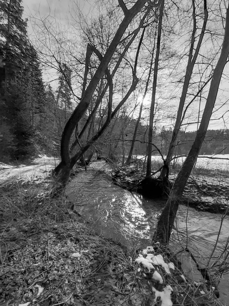 20210123_104814 (1)